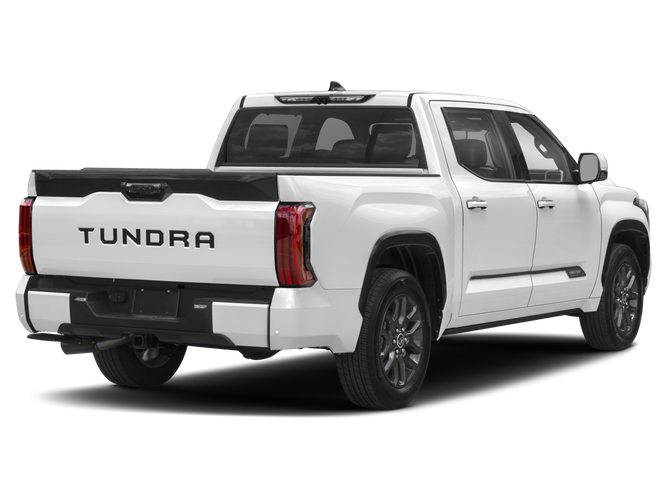 2023 Toyota Tundra Hybrid Platinum in Homerville, GA - 67 Motors