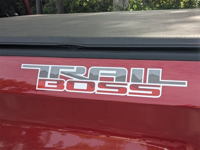 2019 Chevrolet Silverado 1500 LT Trail Boss in Homerville, GA - 67 Motors